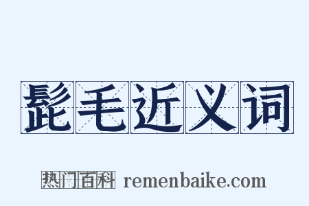 髭毛近义词是什么意思的图片
